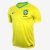 Camiseta Nike Brasil I 2022/24 Supporter Masculina