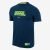 Camiseta Nike Brasil Swoosh Masculina