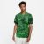 Camisa Nike Nigéria I 2022/23 Torcedor Pro Masculina