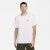 Camiseta Nike SB Natural Borders Masculina